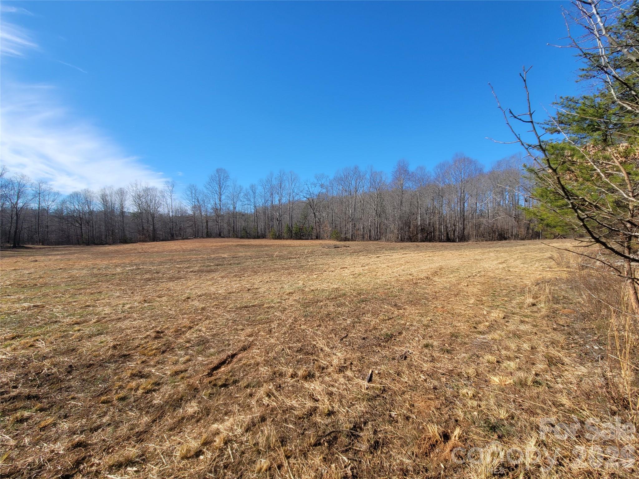 0 Bill Collins Road Columbus, NC 28722 - Photo 14 of 14
