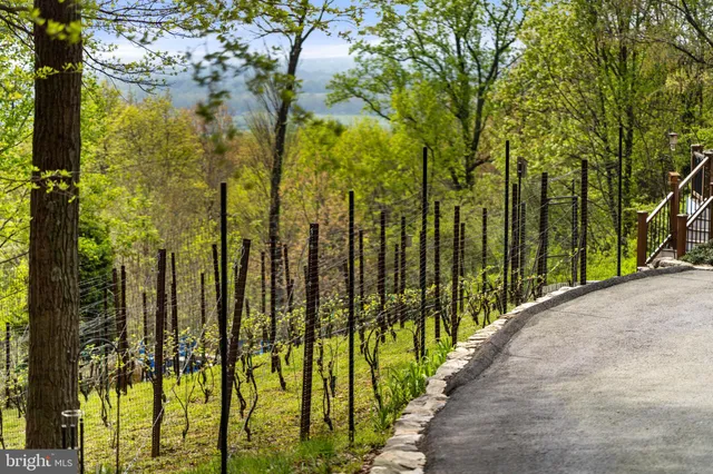 a living room with furniture a flat screen tv and a floor to ceiling window