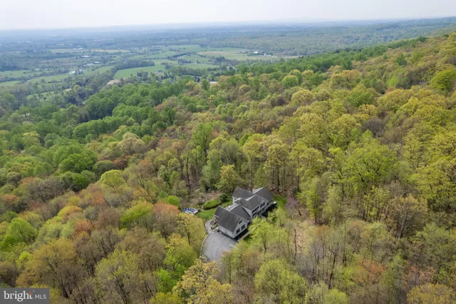 a view of a house with a big yard and large trees
