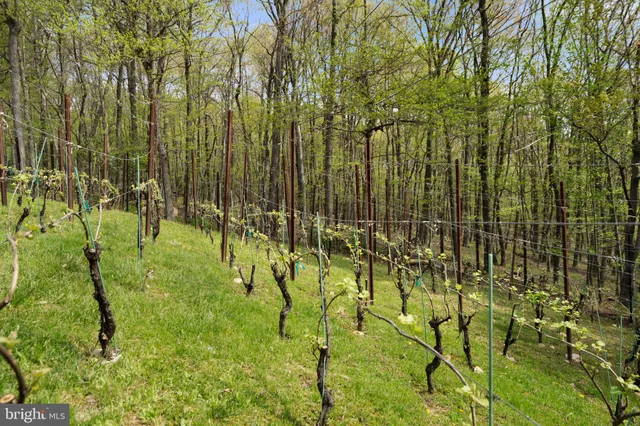 a front view of a house with a garden and porch