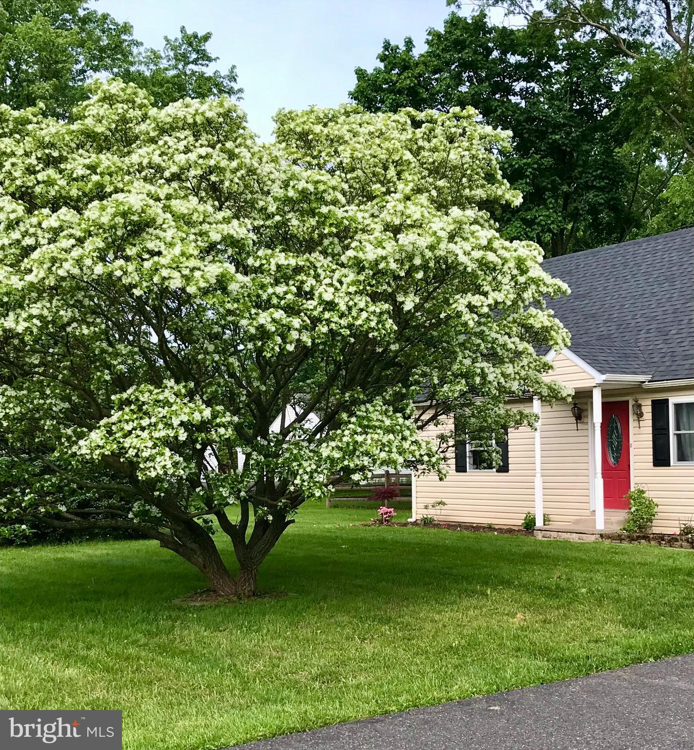 64 Level Road Collegeville, PA 19426 - Photo 2 of 36 Gallery Image 2