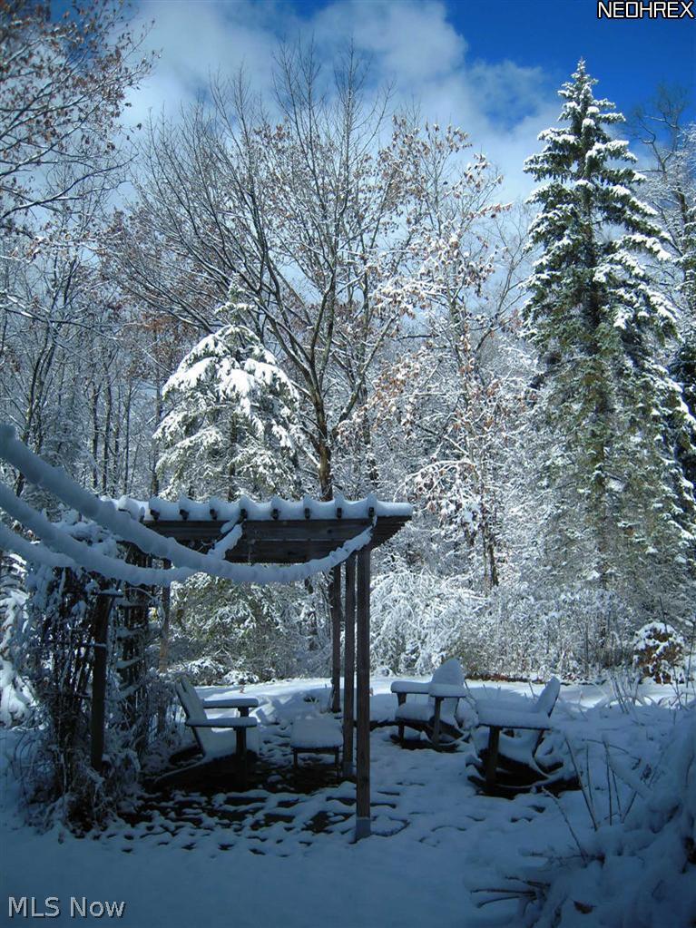 10042 Thwing Road Chardon, OH 44024 - Photo 21 of 23 Gallery Image 21