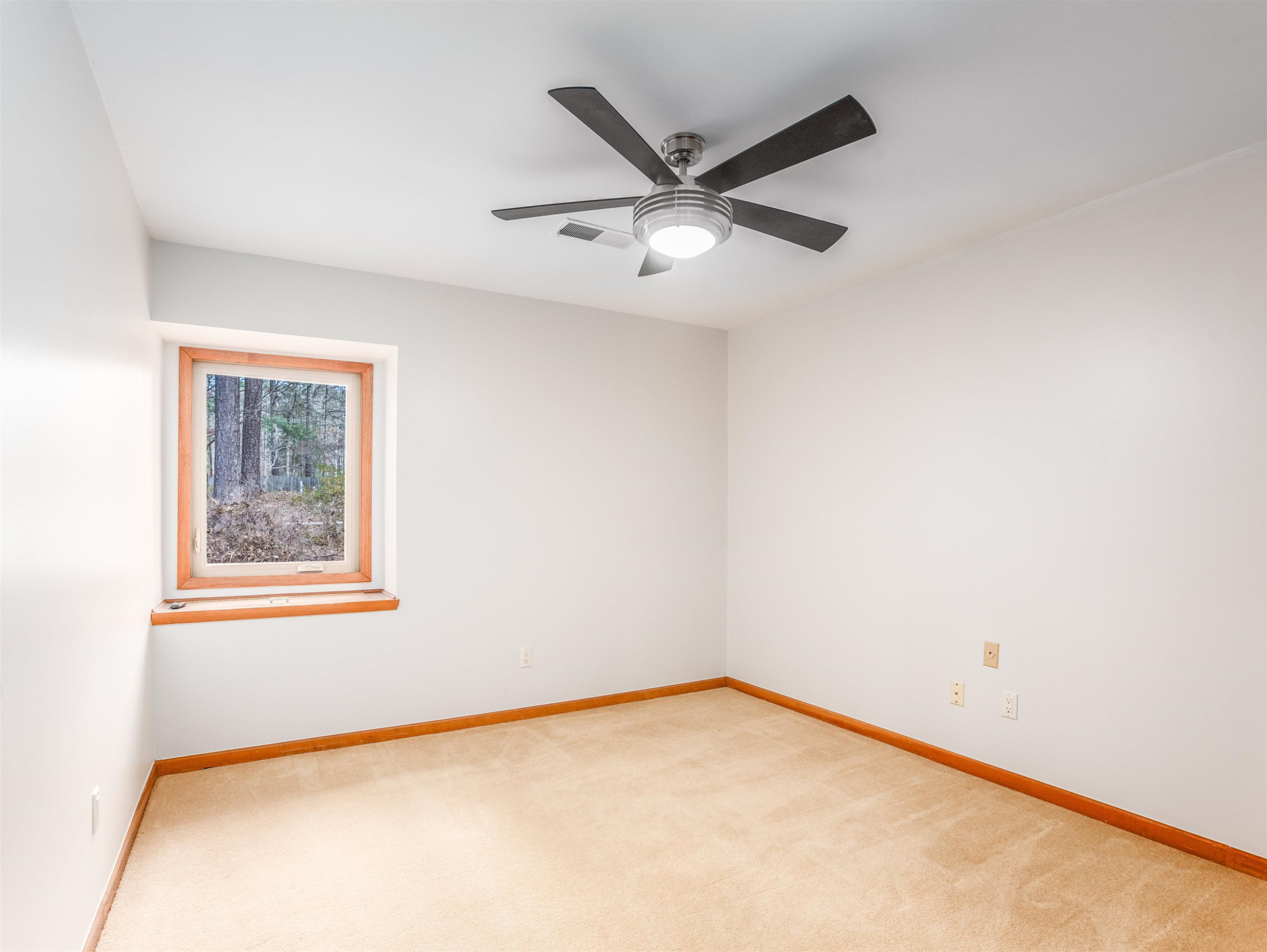 10401 Ray Road Raleigh, NC 27613 - Photo 17 of 24 Photo 17
