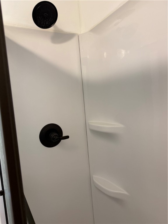 145 West Steidl Road Paris, IL 61944 - Photo 15 of 32 walk in shower