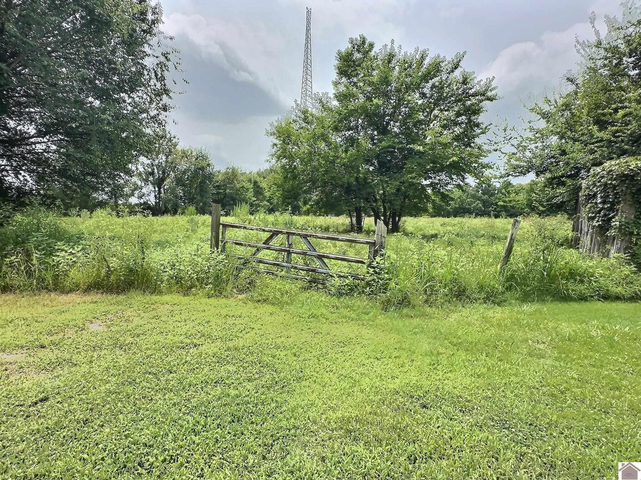 2851 Kirksey Road Murray, KY 42071 - Photo 32 of 34 Photo 32