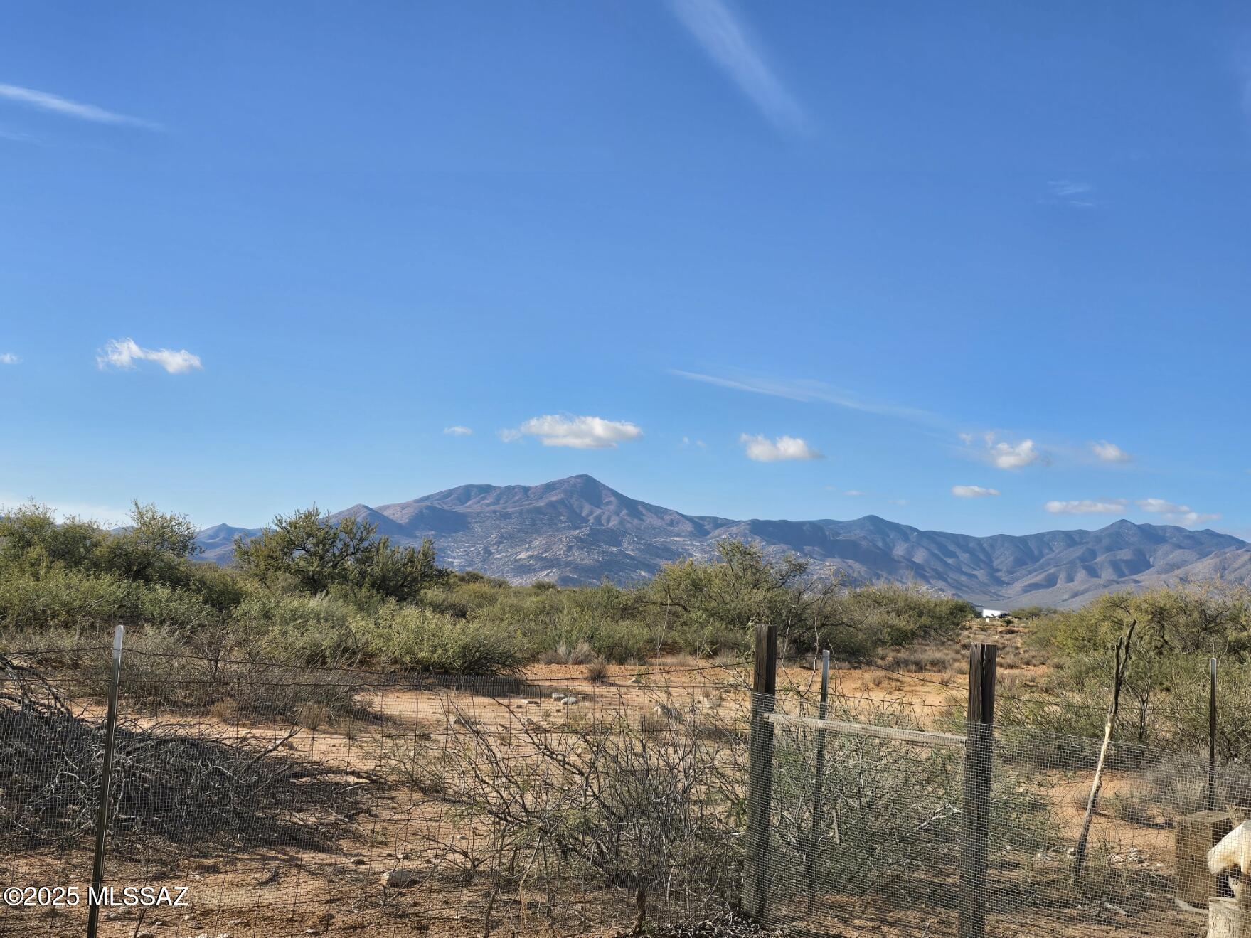1144 South Hammers Road Bowie, AZ 85605 - Photo 3 of 27