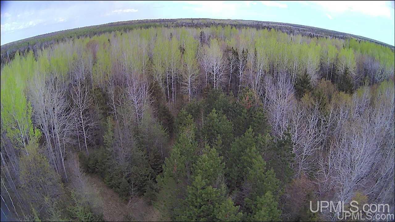 Tbd Tbd Co Road, Unit 1 Marquette, MI 49855 - Photo 14 of 50