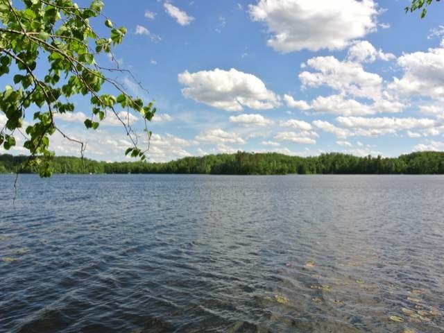 Lot 4 Little Bearskin Road Harshaw, WI 54529 - Photo 10 of 19 Gallery Image 10