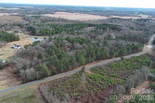 an aerial view of mountain with trees