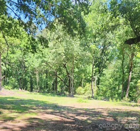 a view of a yard with a trees