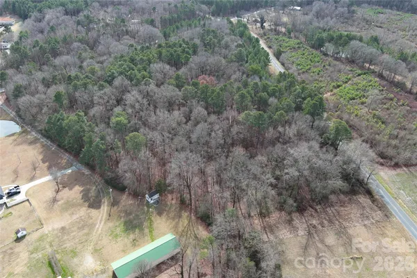 a view of a yard with large trees
