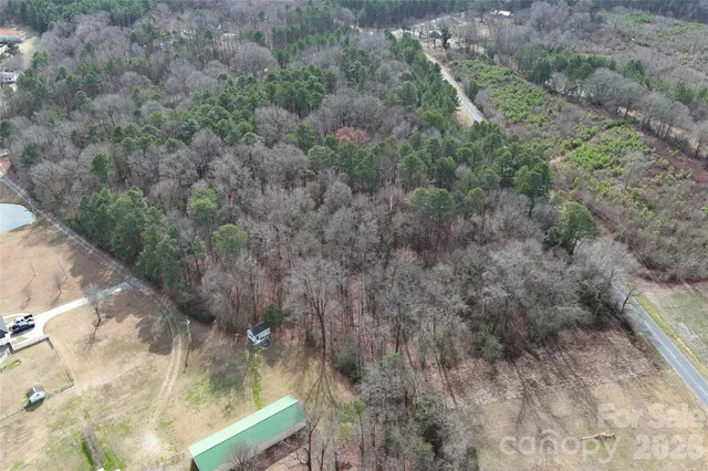 a view of a yard with large trees
