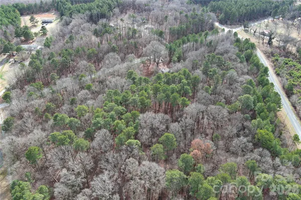 a view of a forest with lots of trees