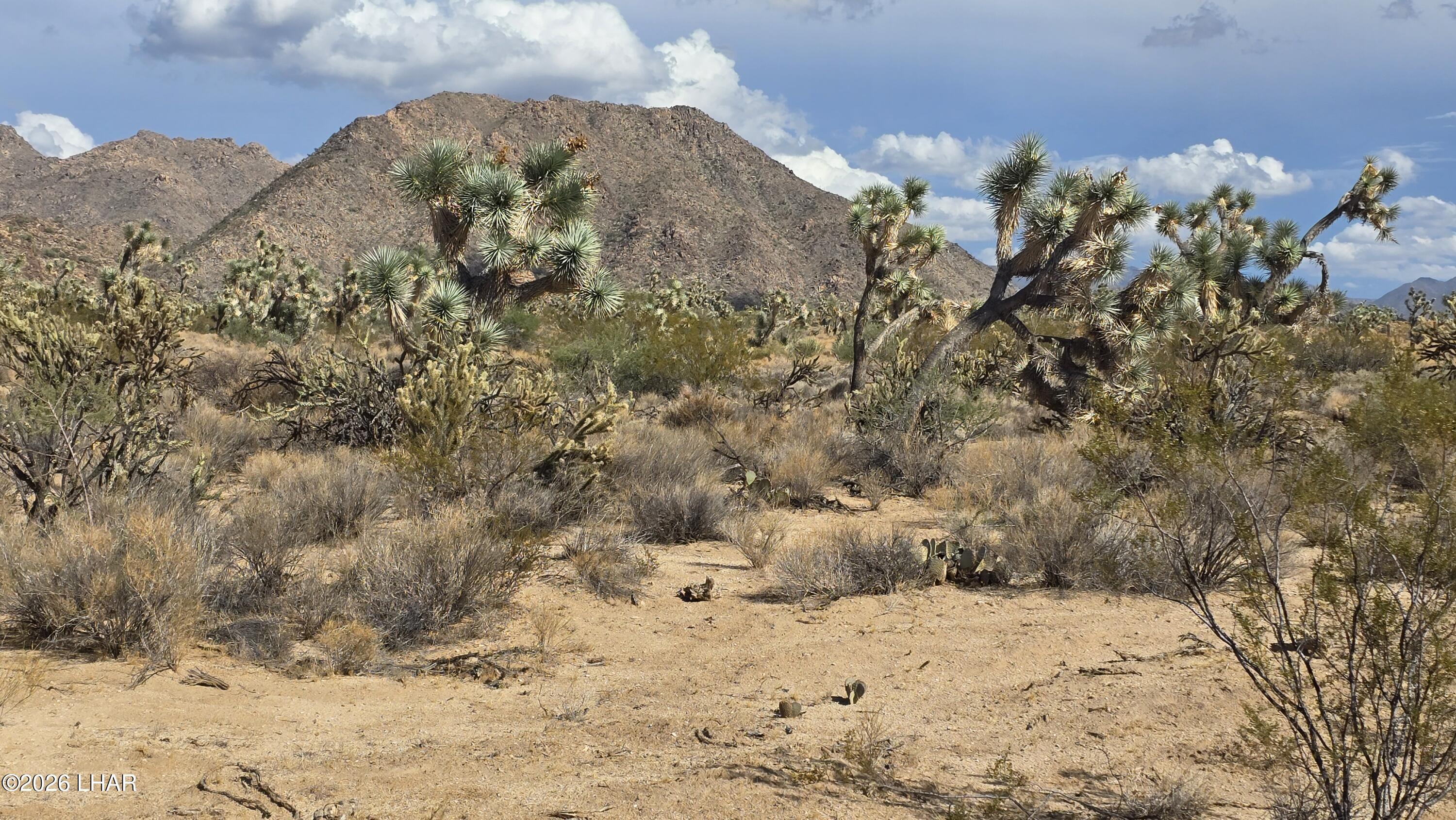208-27196d South Kinard Road Yucca, AZ 86438 - Photo 2 of 40 20260831_155143