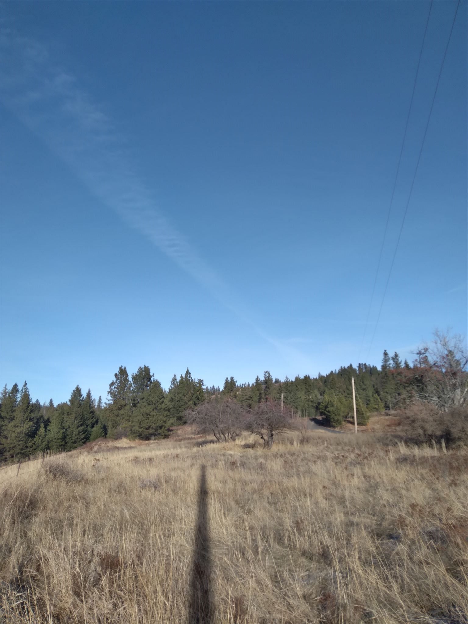 0 East Tallman Road Chattaroy, WA 99003 - Photo 1 of 10