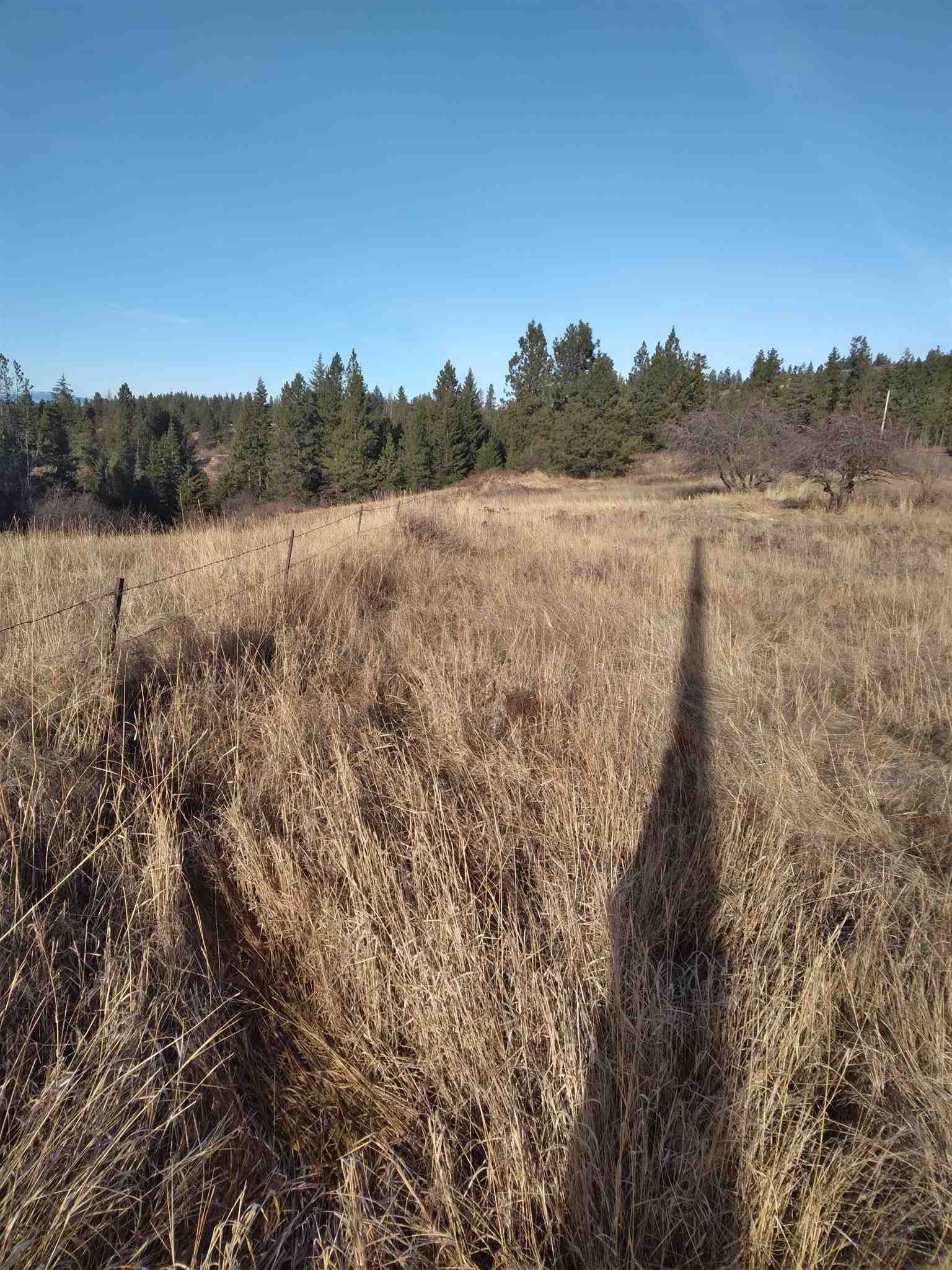 0 East Tallman Road Chattaroy, WA 99003 - Photo 3 of 10
