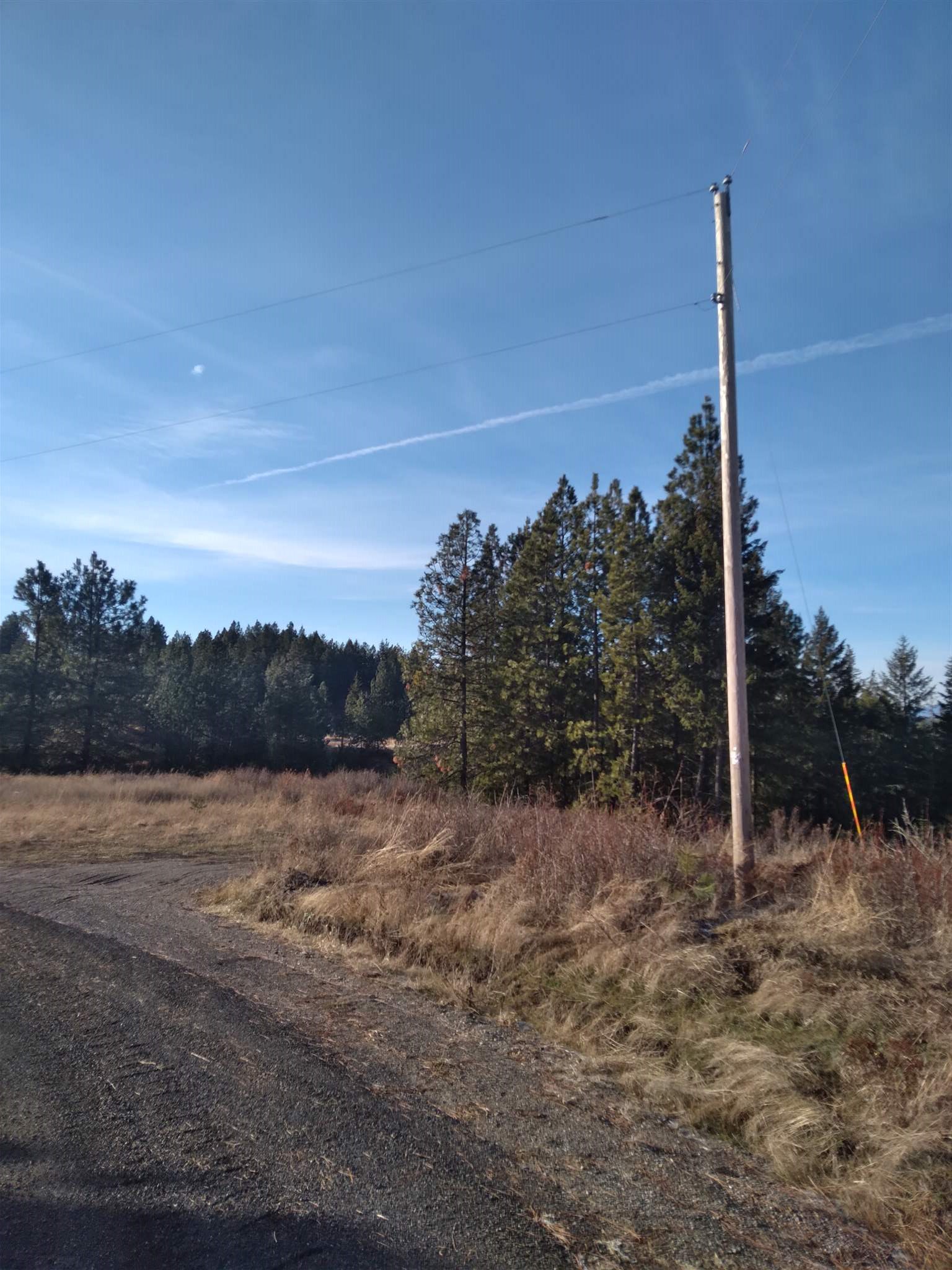 0 East Tallman Road Chattaroy, WA 99003 - Photo 4 of 10