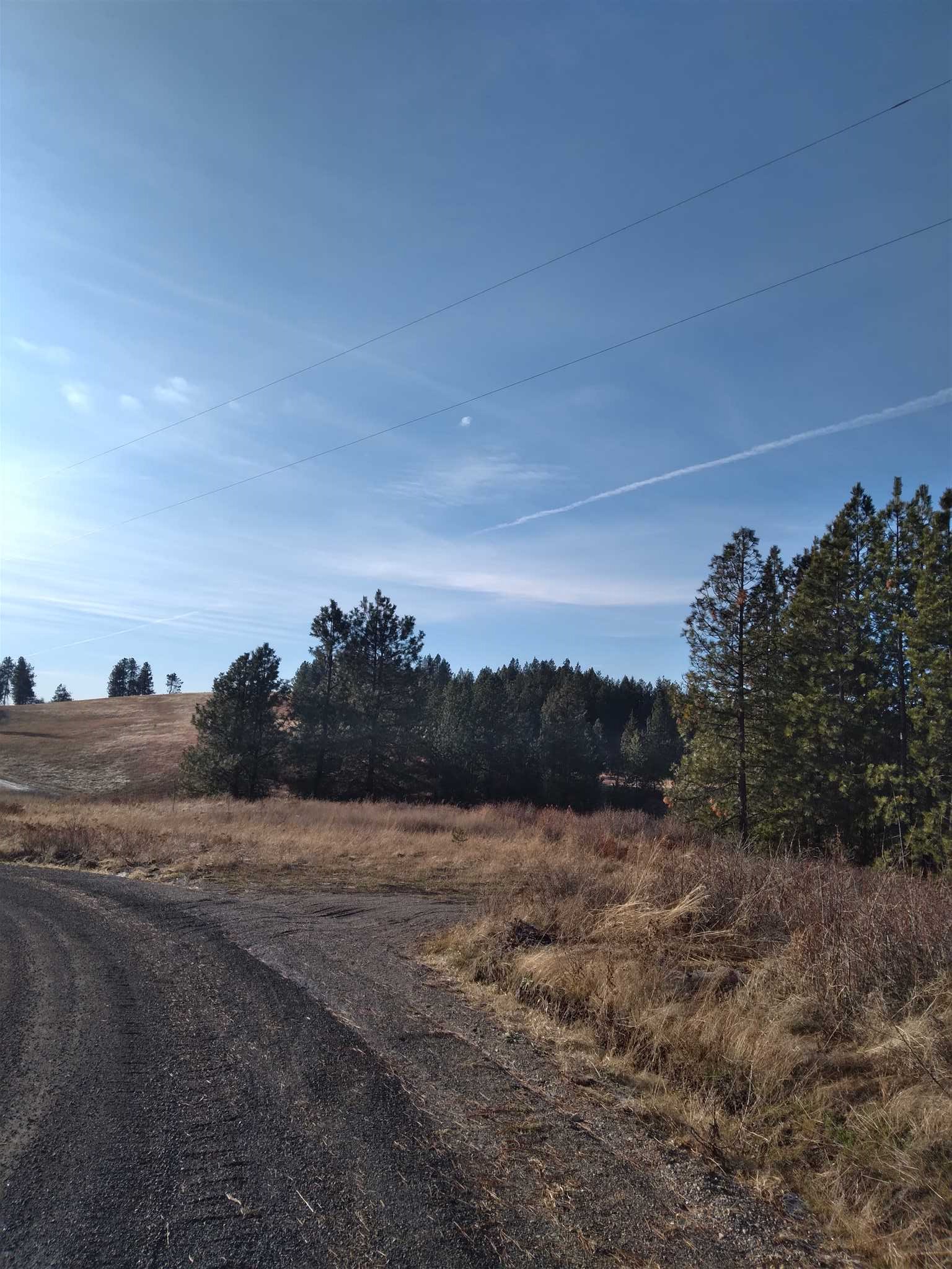 0 East Tallman Road Chattaroy, WA 99003 - Photo 6 of 10