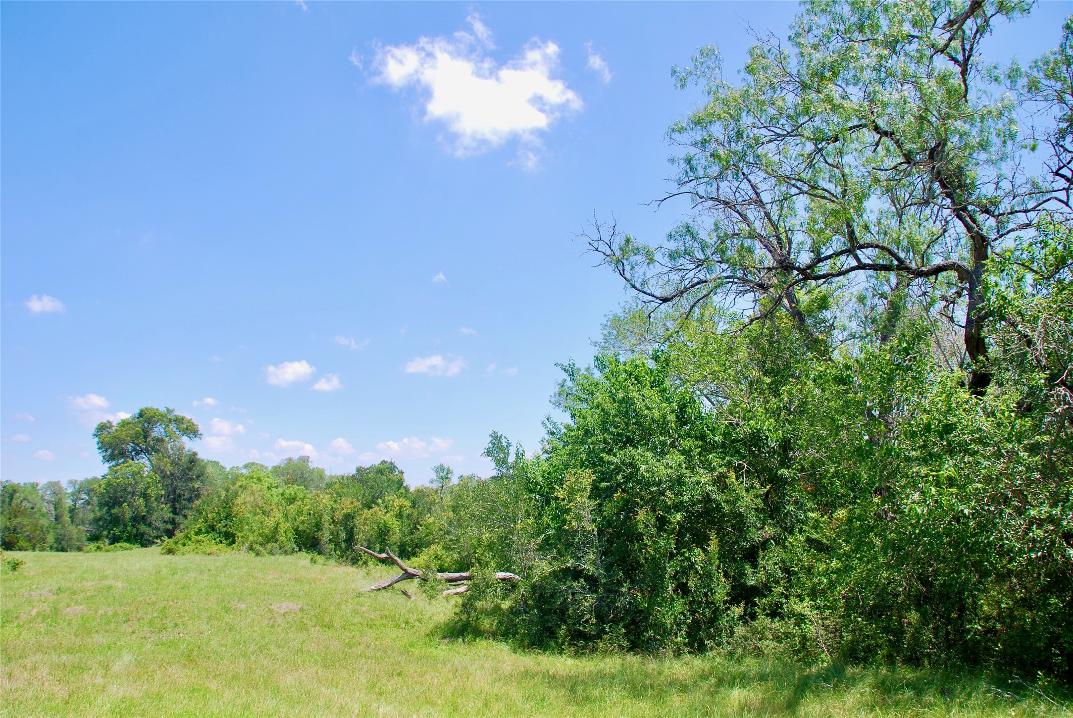 3703 Muehr Road Weimar, TX 78962 - Photo 16 of 29