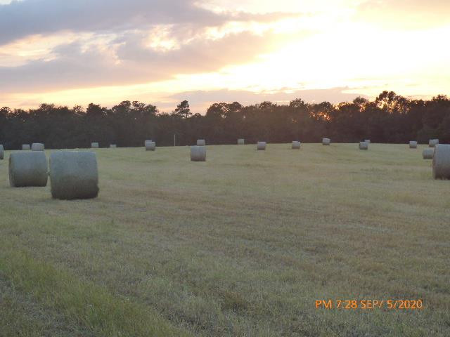 1615 Dairy Road Monetta, SC 29105 - Photo 23 of 30