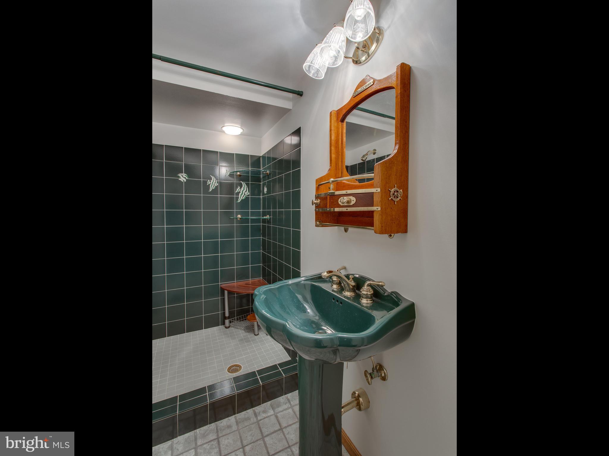 2004 Jamestown Road Alexandria, VA 22308 - Photo 21 of 30 Full bath with shower in lower level