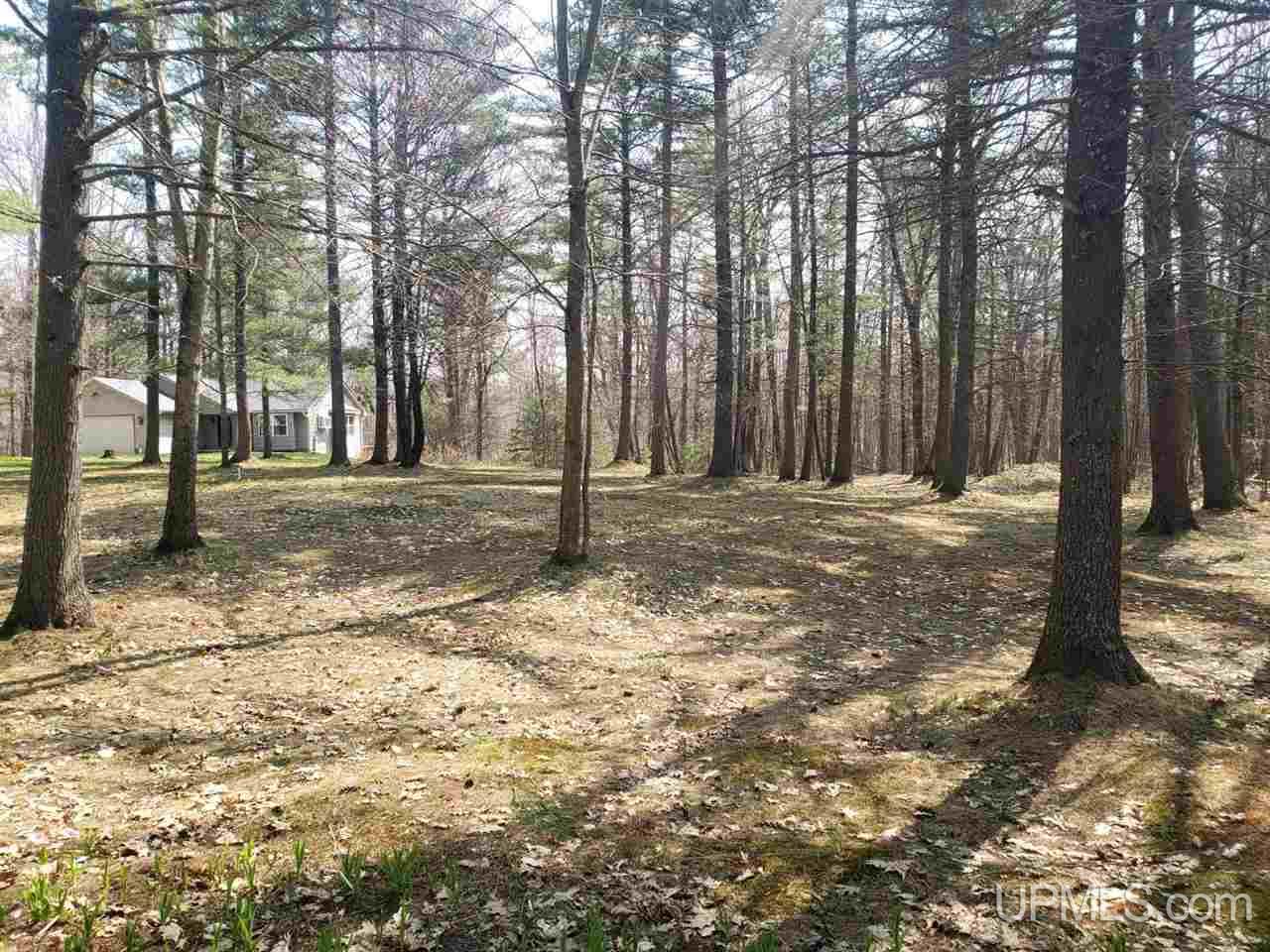 W9498 Co Road Dunbar, WI 54119 - Photo 42 of 59