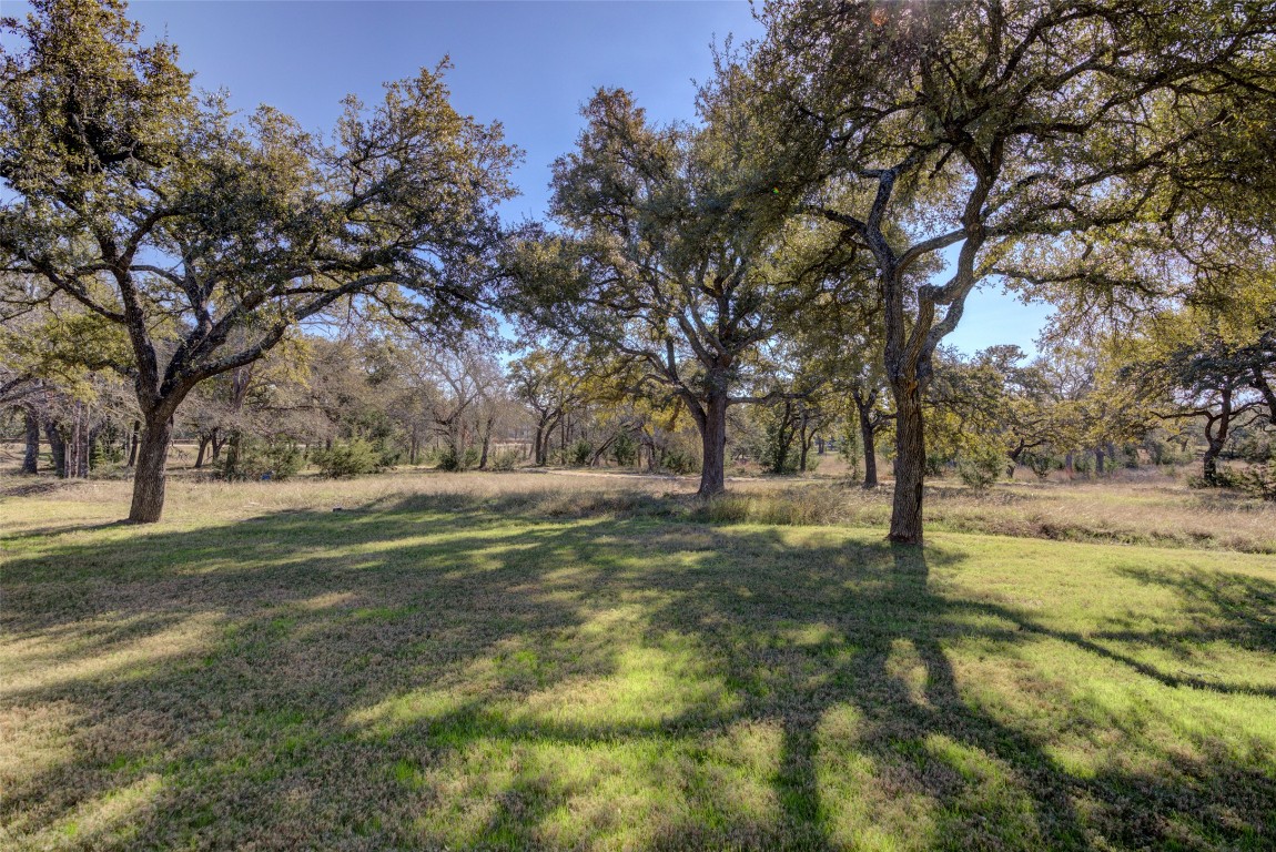 170 Bunker Rnch Boulevard, Unit 64 Dripping Springs, TX 78620 - Photo 36 of 37 a view of yard with trees