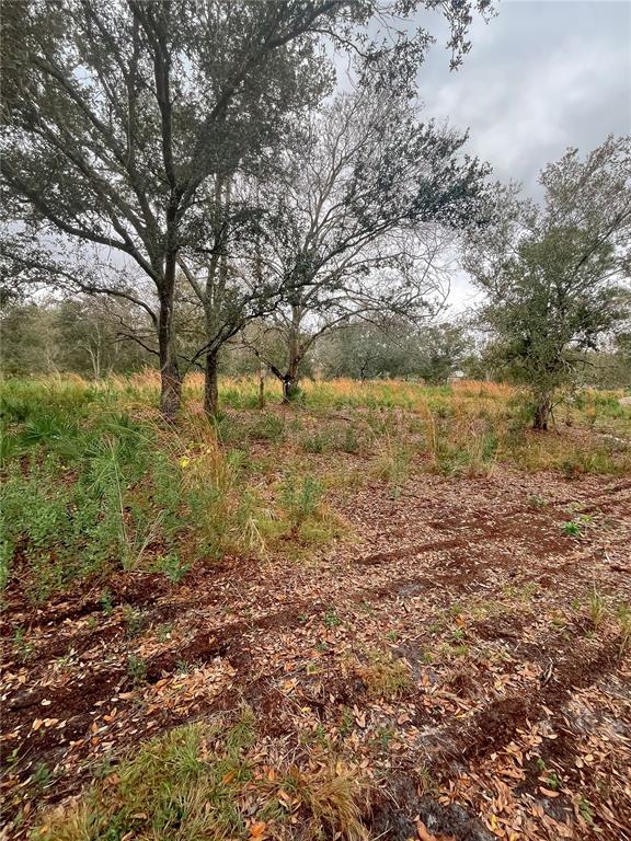 4683 Southeast Rye Avenue Arcadia, FL 34266 - Photo 2 of 7 a view of a lake view