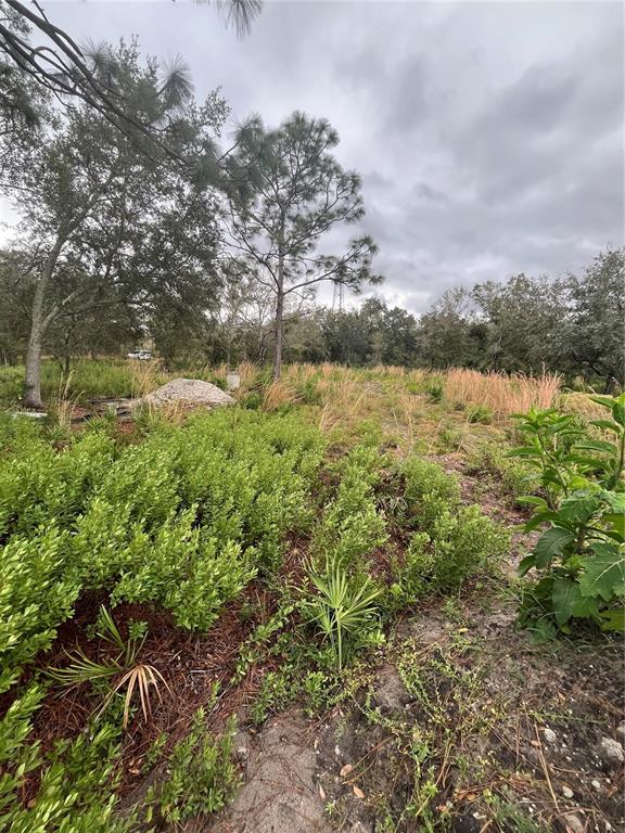 4683 Southeast Rye Avenue Arcadia, FL 34266 - Photo 3 of 7 a view of a lake with houses