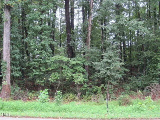 a view of a forest with trees