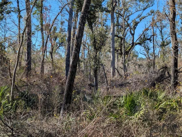 $15,000 | Northwest Fox Run Trail, Unit 107, Mayo, FL 32066