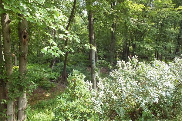 3 Rack Road Chelmsford, MA 01824 - Photo 23 of 23
