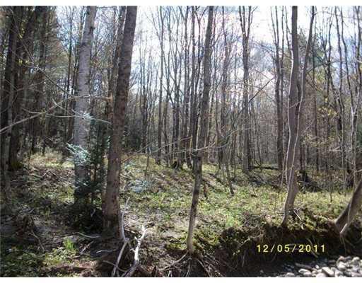 1 Swift River Road Roxbury, ME 04275 - Photo 4 of 23 Land/Lot.