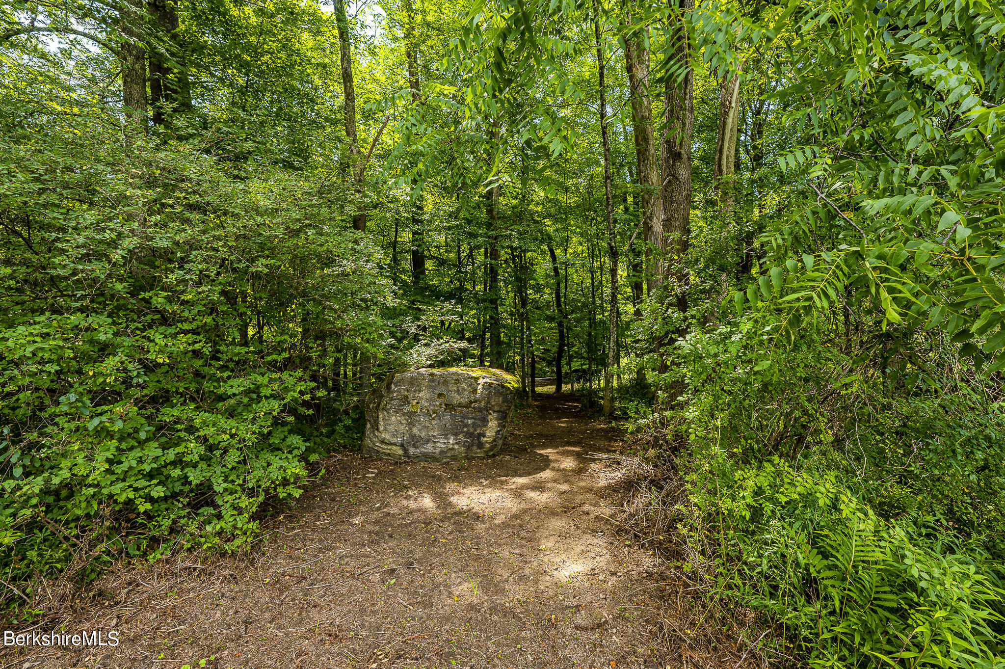 47 E Road Alford, MA 01266 - Photo 33 of 46 a view of a outdoor space with a tree