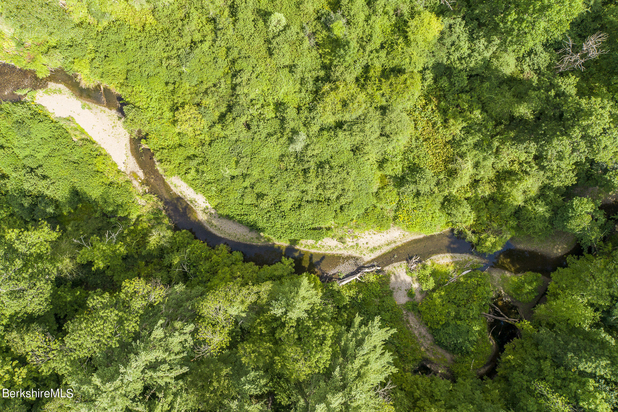 47 E Road Alford, MA 01266 - Photo 35 of 46 a view of a yard with a tree