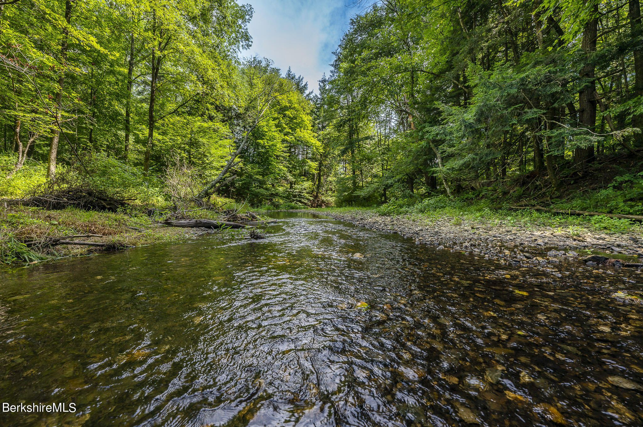 47 E Road Alford, MA 01266 - Photo 36 of 46 a big yard with lots of green space and deers