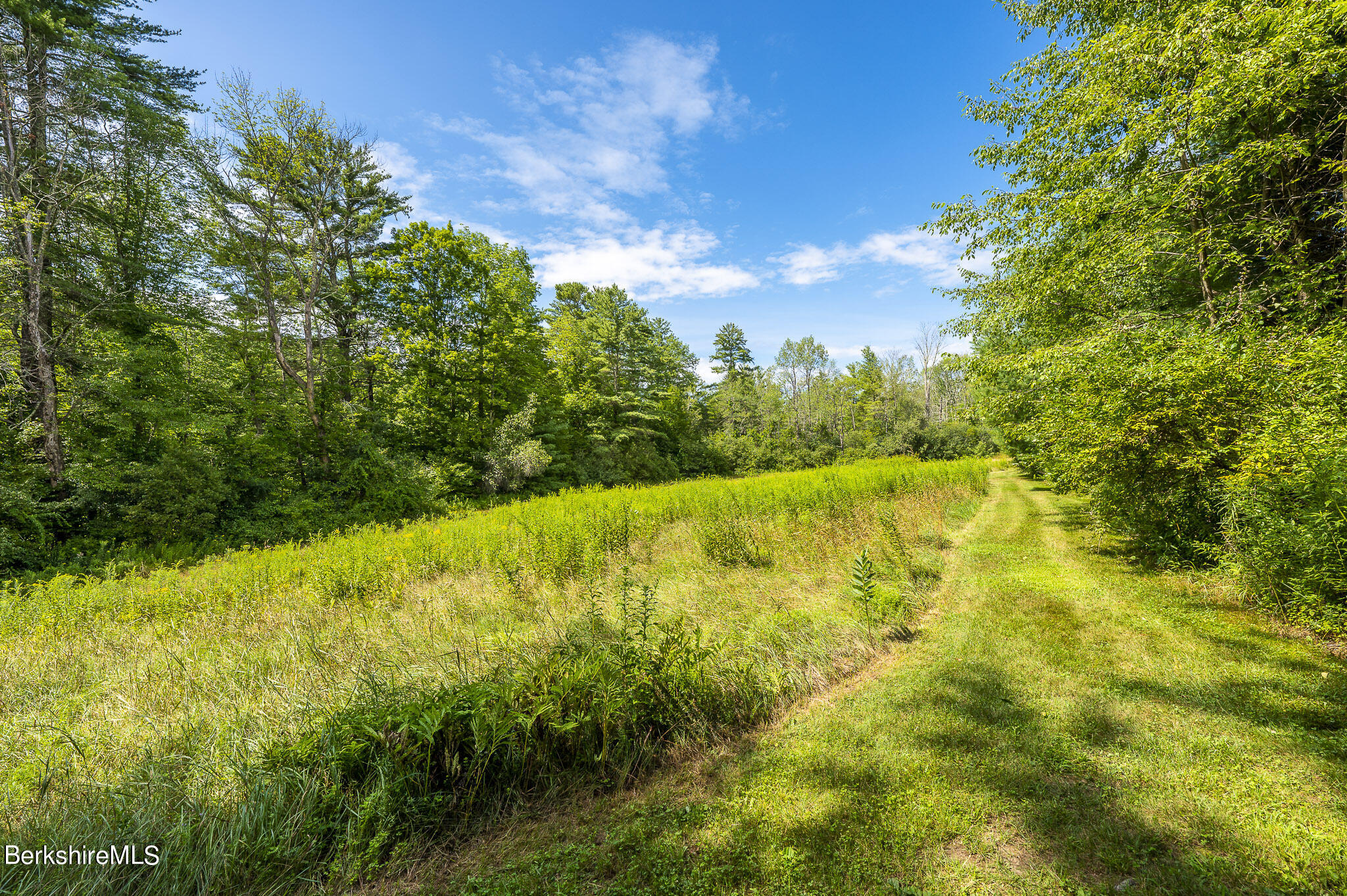 47 E Road Alford, MA 01266 - Photo 40 of 46 a view of an outdoor space and a yard