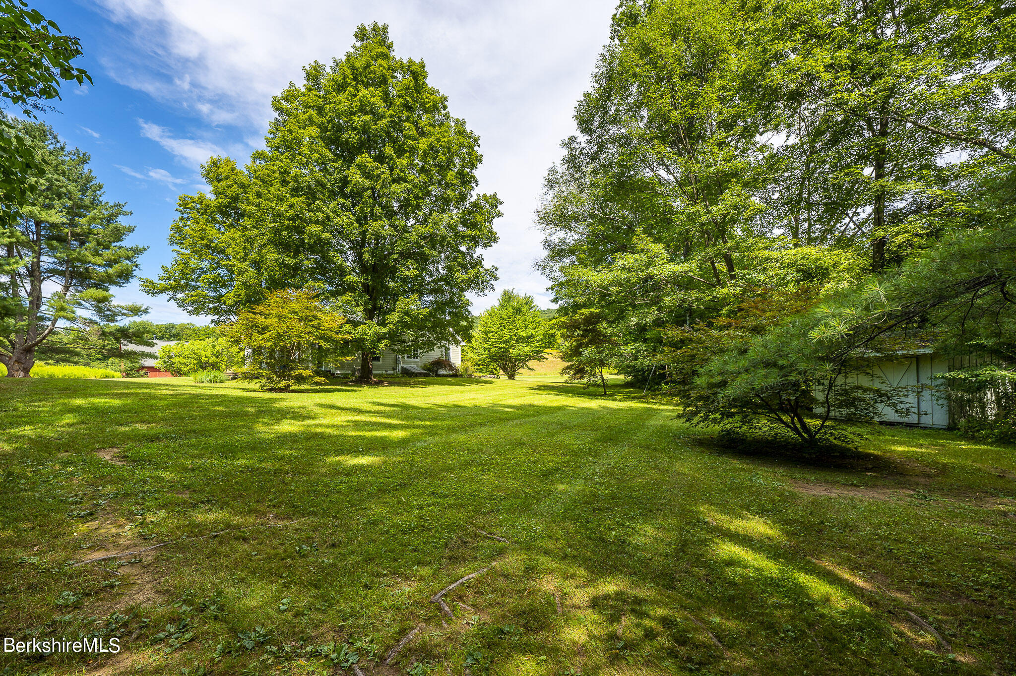 47 E Road Alford, MA 01266 - Photo 46 of 46 a view of yard with green space