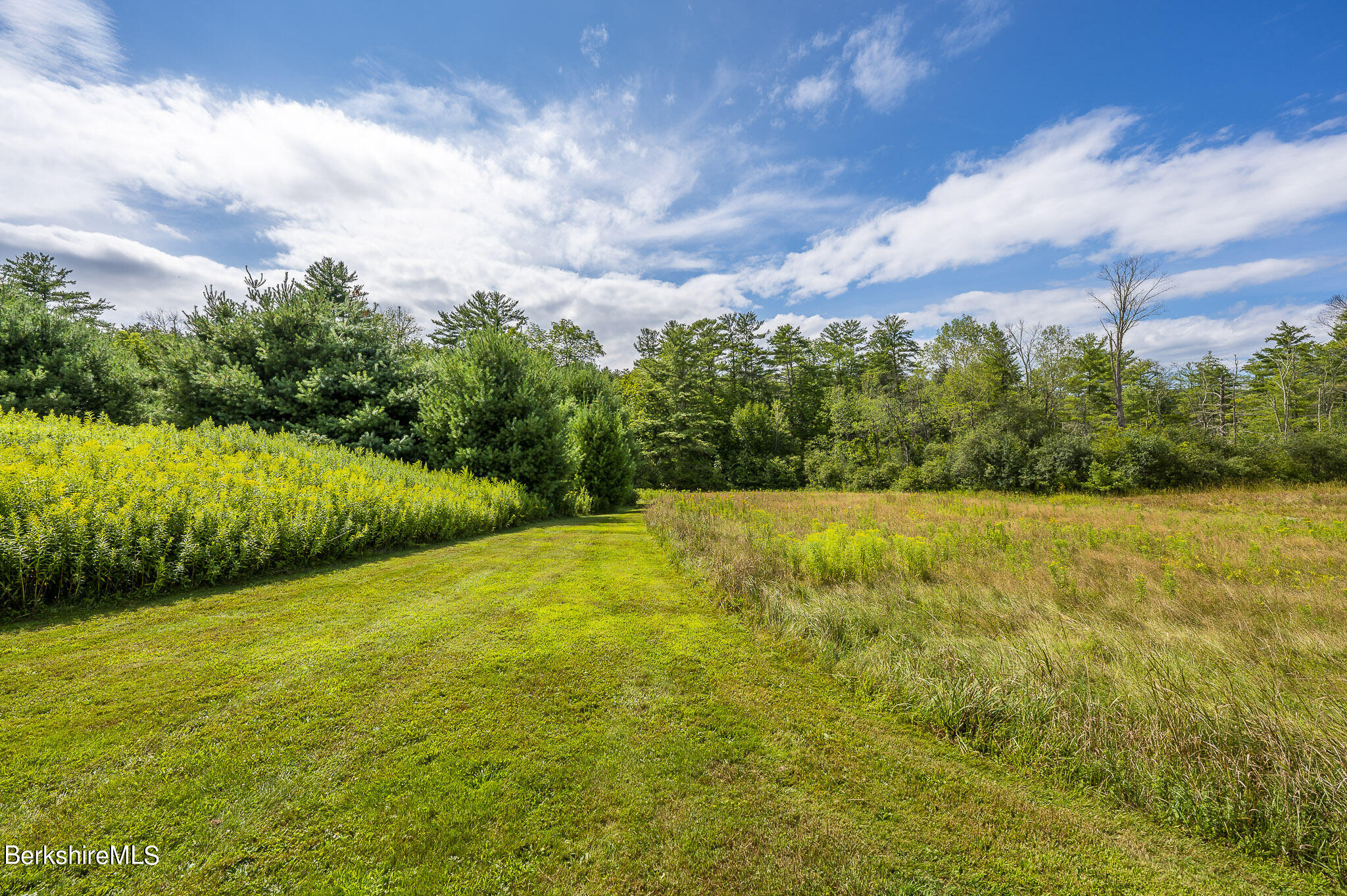 47 E Road Alford, MA 01266 - Photo 8 of 46 a view of an outdoor space and a yard