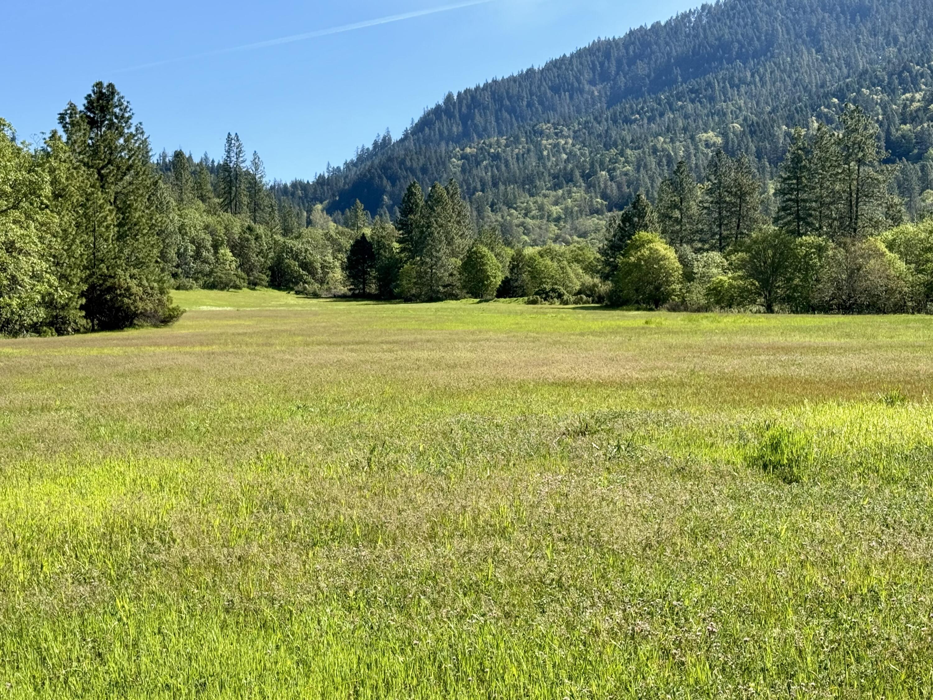 6798 Hugo Road Grants Pass, OR 97526 - Photo 26 of 38 Looking north
