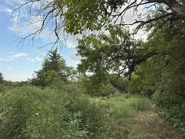 a view of a yard with a tree