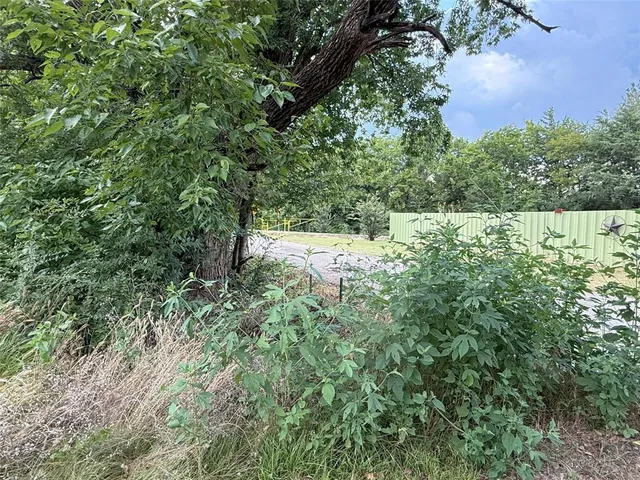 a view of a yard with a tree