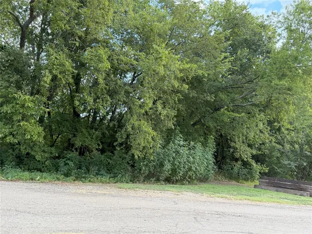 a view of a yard from a window