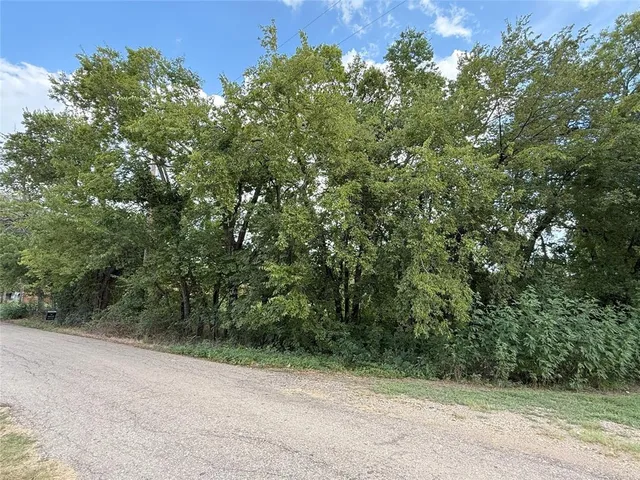 a view of a forest with trees