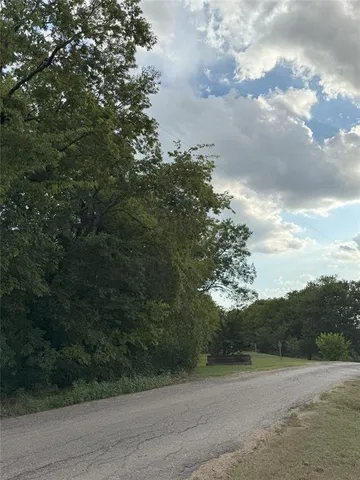 a view of a field with a tree