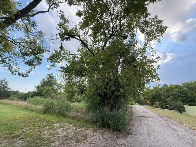 a view of a forest with trees in front of it