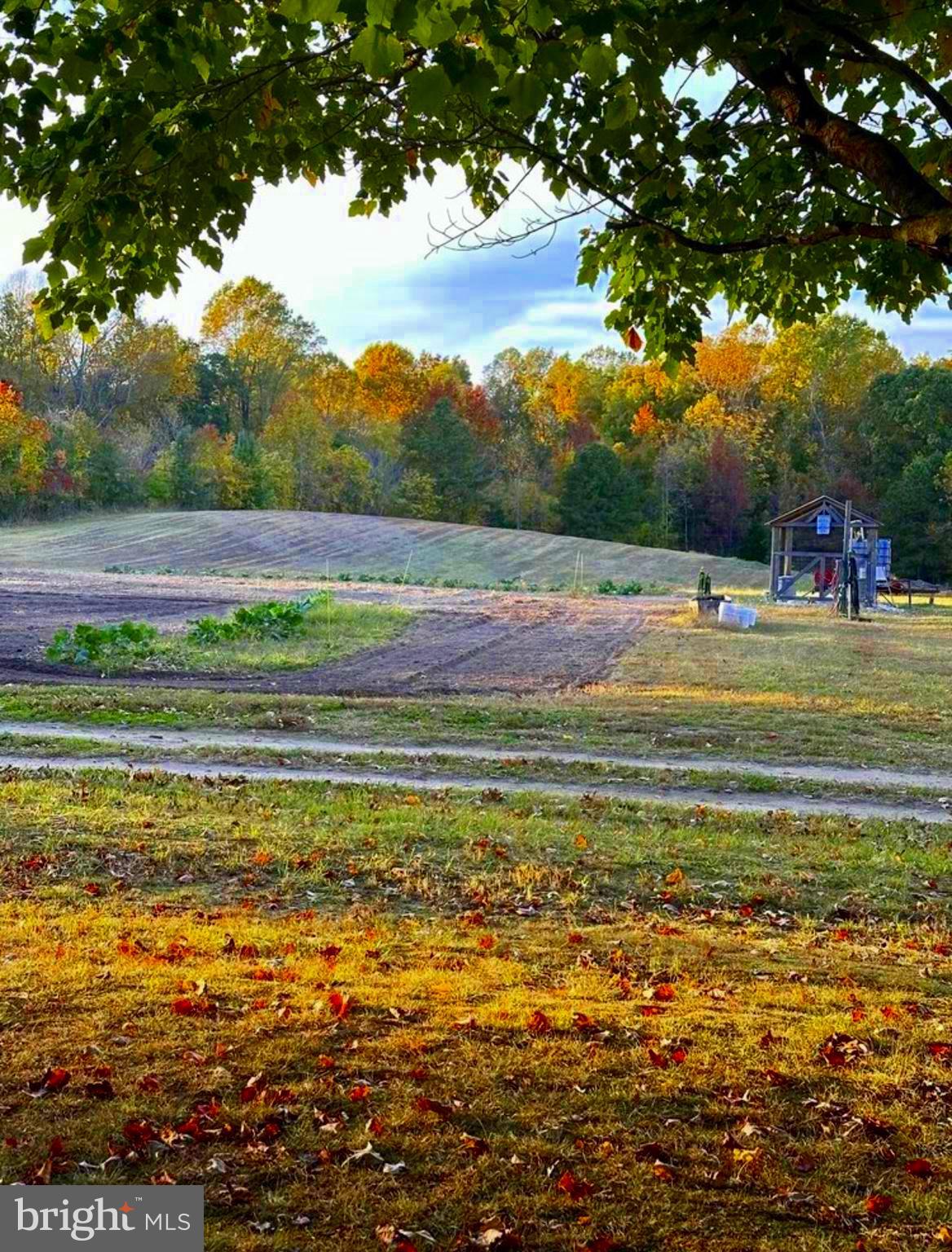 6310 St Leonard Road St. Leonard, MD 20685 - Photo 3 of 16 a view of a yard with an outdoor space