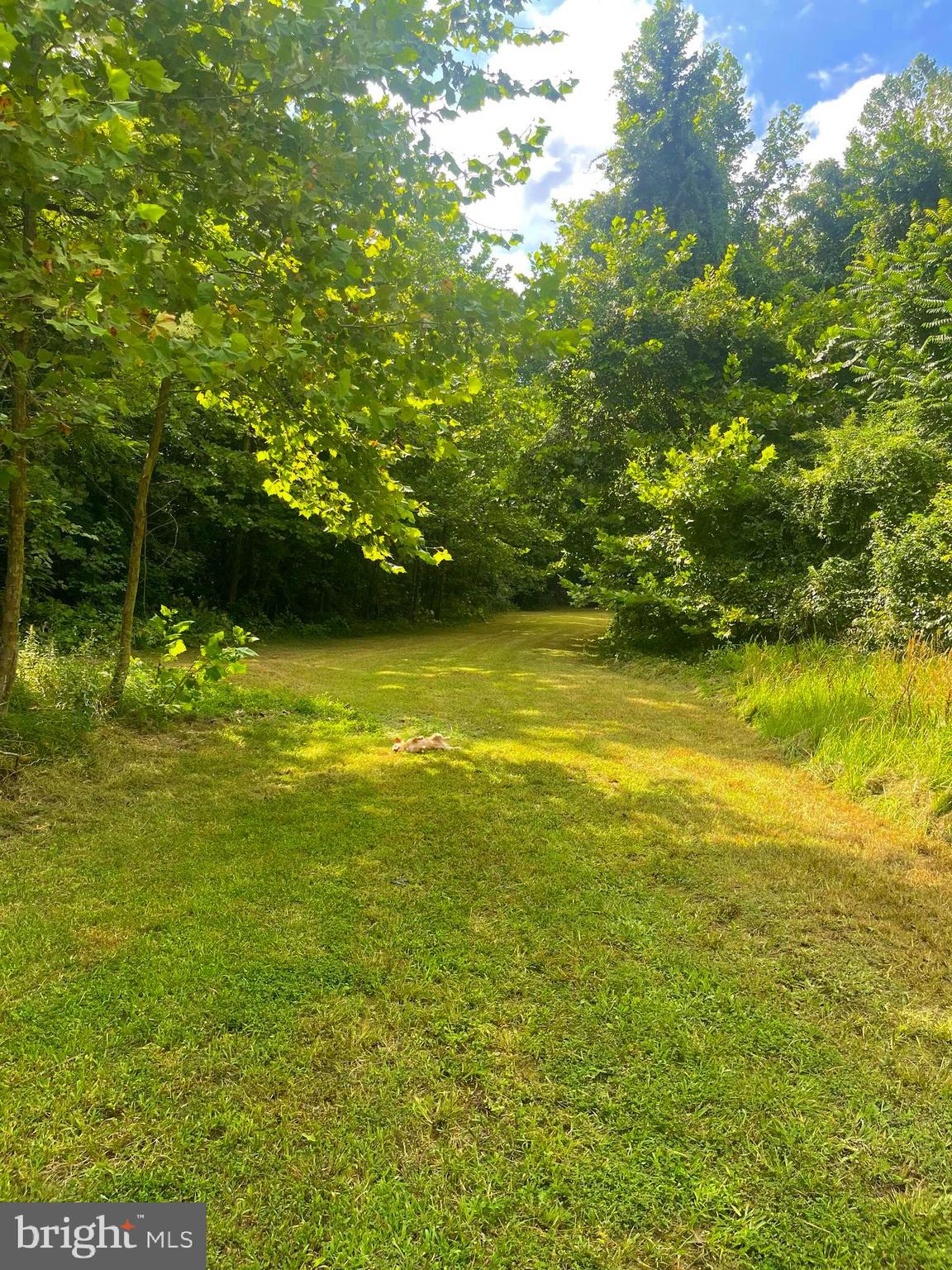6310 St Leonard Road St. Leonard, MD 20685 - Photo 4 of 16 a view of an ocean from a yard