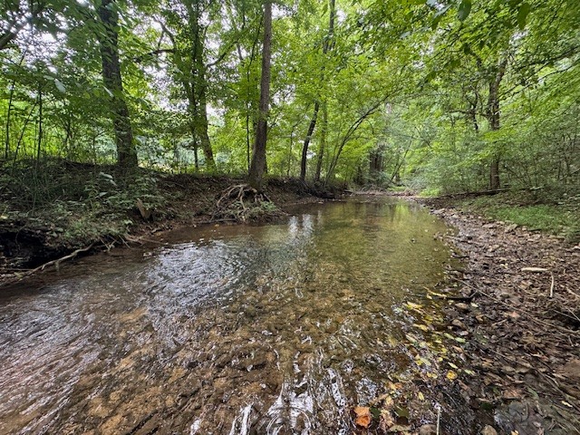 6572 Hassell Creek Road Lyles, TN 37098 - Photo 8 of 40 Gallery Image 8