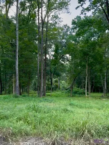 $102,750 | Lot A-1 Lot A-1 A Lemon Road, Slaughter, LA 70777